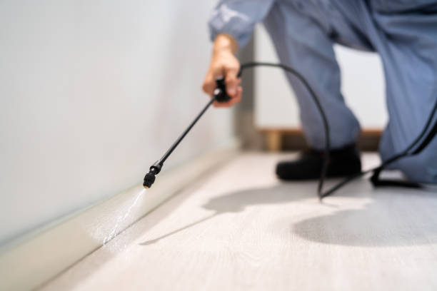 Licensed Mosquito Control service in Toledo, OH - Show Me Pest Control