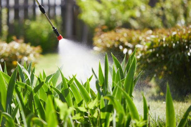24/7 Emergency Mosquito Control experts in Toledo, OH