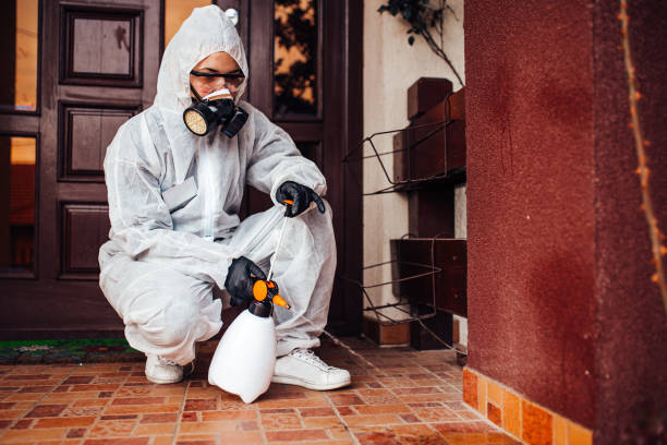 Reliable Mosquito Control contractor in Toledo, OH by Show Me Pest Control