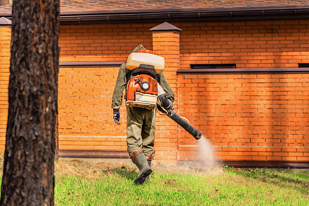 Top rated local Mosquito Control specialists in Toledo, OH